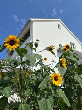 Apartments Nikola Stipišić